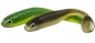 DAM Effzett Longhorn Watermelon Black Flake